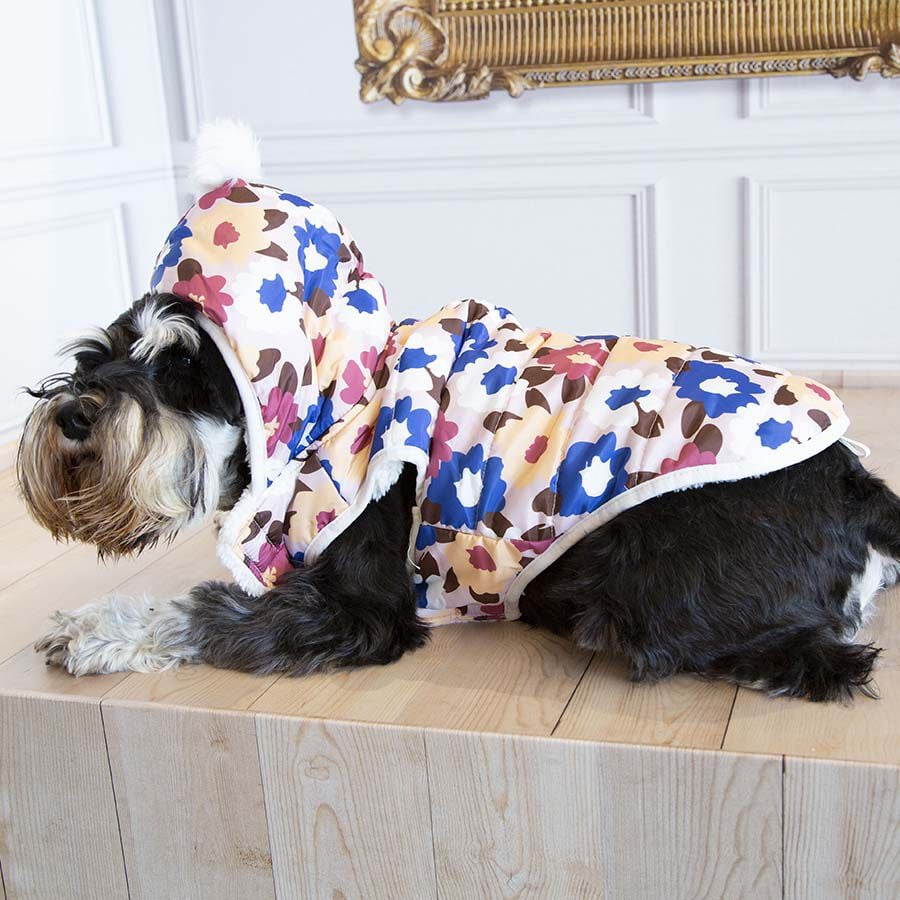 Outech Spring Abrigo para perros, , large Imagen numero 3